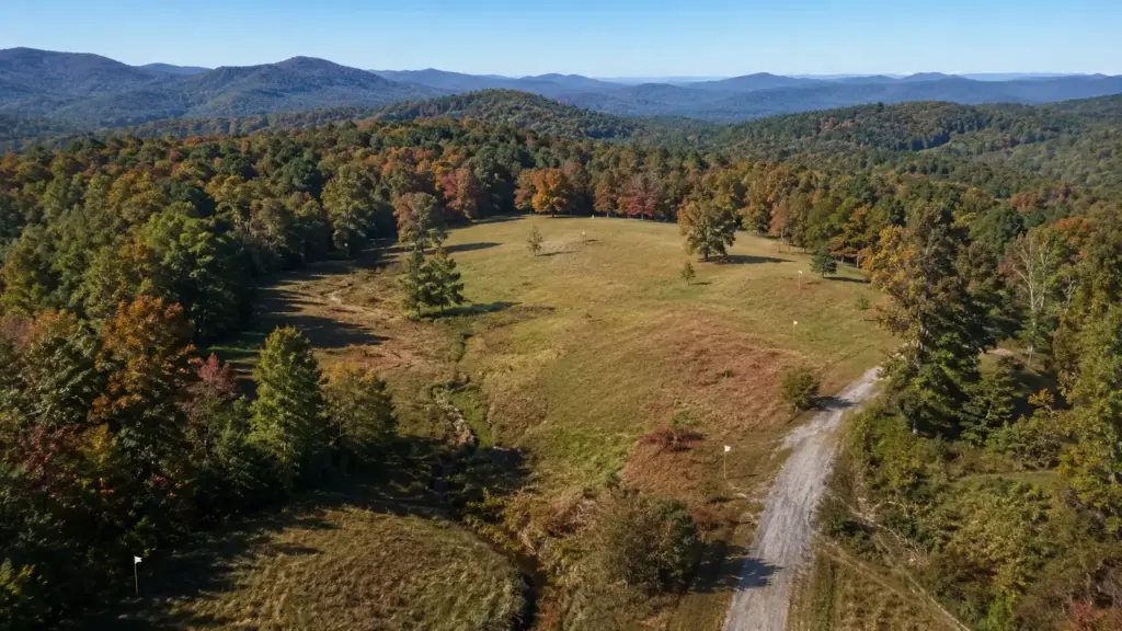 Aerial view of a wooded North Georgia parcel with meadow, gravel access road, drainage corridor, and survey stakes